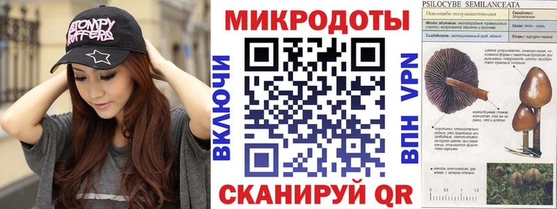 Купить закладки  Богучар  Псилоцибиновые грибы прущие грибы 